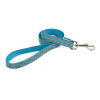 Fashion Nylon Dog Lead Blue Paw 19mm X1m