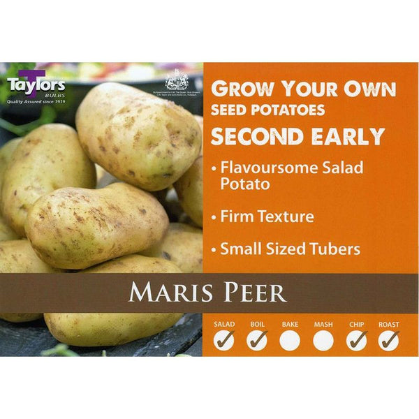 2kg Maris Peer Seed Potatoes - Second Early