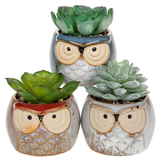 Succulent Pot Owl Large