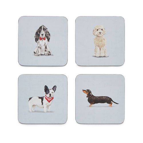 Curious Dogs Coasters - Pack of 4