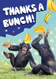 Greeting Card - Thanks - A Bunch