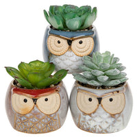 Succulent Pot Owl Large