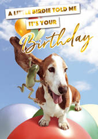 Birthday Greeting Card - Dog & Frog