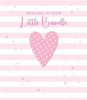Welcome to Your Little Bundle (Girl) Greeting Card