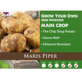 2kg Maris Piper Seed Potatoes - Main Crop