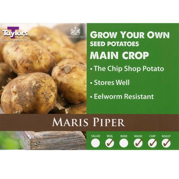 2kg Maris Piper Seed Potatoes - Main Crop
