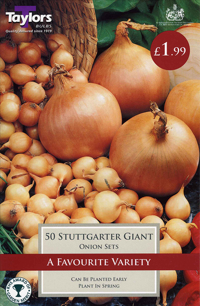 Stuttgarter Giant Onion Sets
