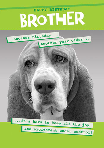 Brother Birthday Card - Joy & Excitement
