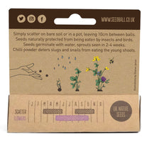 Seedball Hanging Pack - Bee Mix
