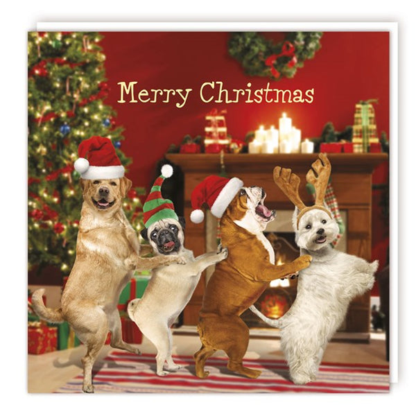 Merry Christmas Card Dogs